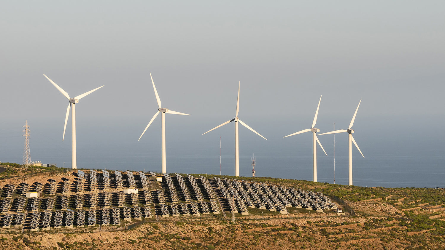 The Status of Energy Auctions in Mexico