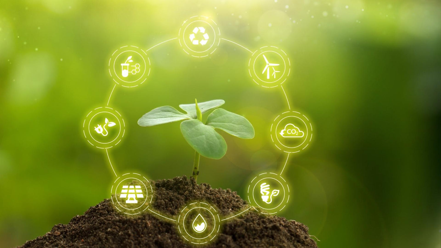 The Top 5 Reasons for an Energy Audit for Commercial Users