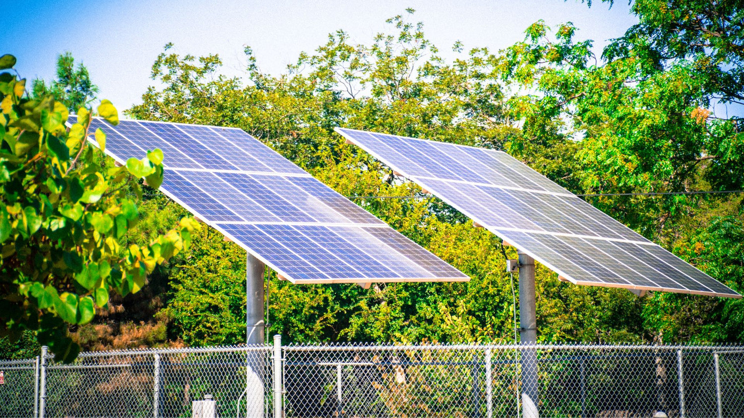 Onsite versus Offsite Renewable Energy: Making the Right Choice for Your Business