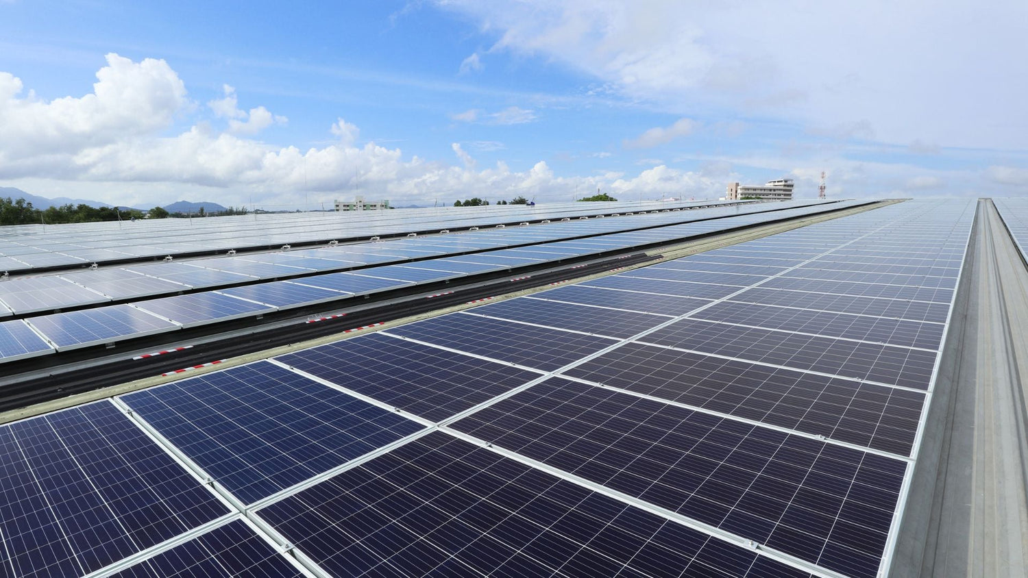 The Central de Abasto wholesale market, in the east of Mexico City
