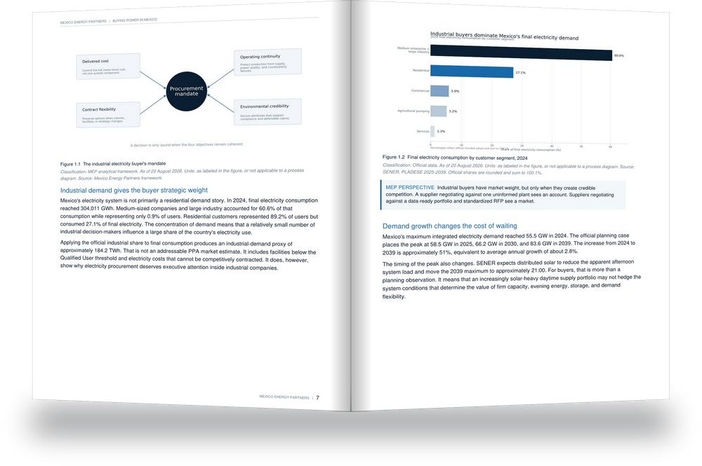 Chapter 1 spread: the industrial electricity buyer’s mandate and final electricity consumption by customer segment, 2024