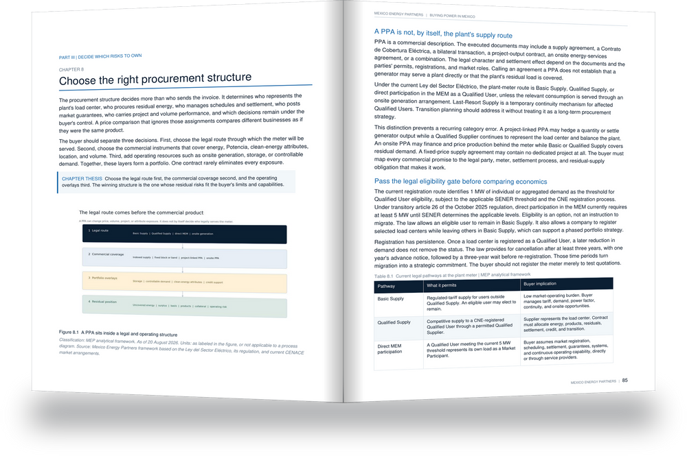 Interior spread from Buying Power in Mexico, Chapter 8, choose the right procurement structure